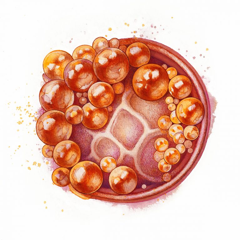 Custom IVF Embryo Painting